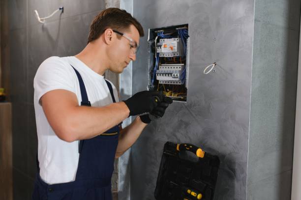 Best Home Electrical Repair  in Los Fresnos, TX