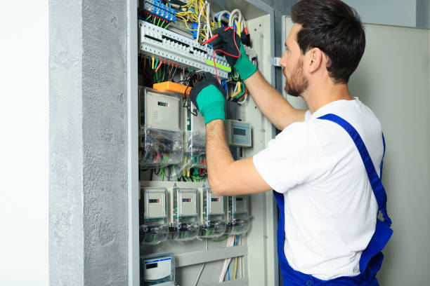 Best Home Electrical Repair  in Los Fresnos, TX