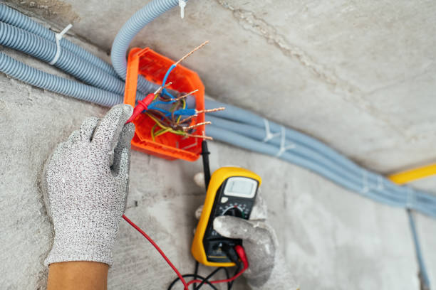 Best Electrician for Home Renovation  in Los Fresnos, TX